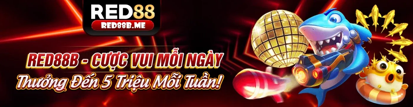 Hình ảnh chính về các phương thức thanh toán an toàn tại 8ket Link Mới